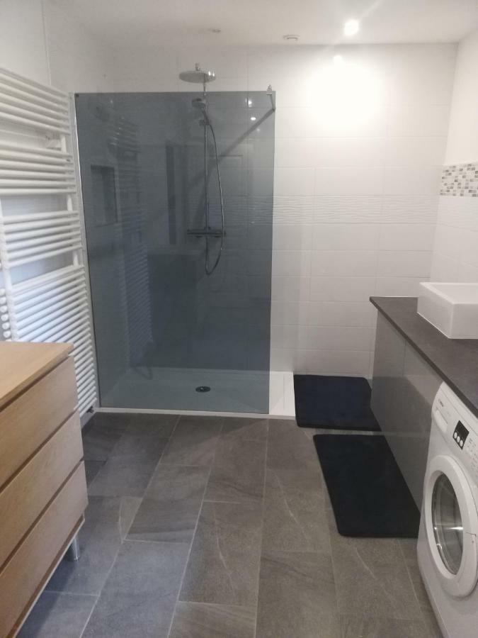 - Gite Appart Orchidee - Luneville - Sejour Famille Ou Pro - 2 Adultes & 2 Enfants Kültér fotó